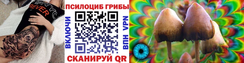 Купить закладки Белореченск Галлюциногенные грибы GOLDEN TEACHER