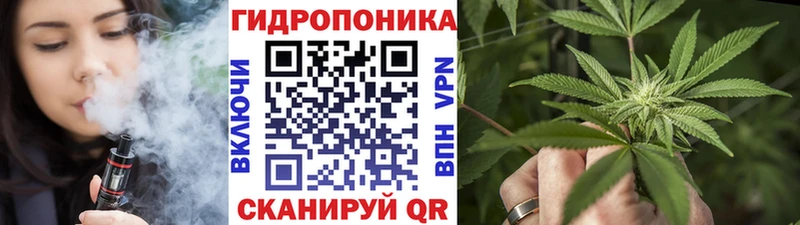 Купить где  Белореченск  Конопля планчик 